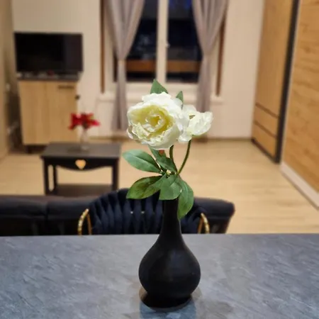 Appartement Chic & Design For 3 People