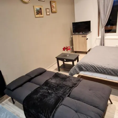 Chic & Design For 3 People * Thonon-les-Bains